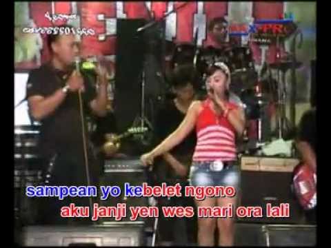 lagu karaoke dangdut palapa